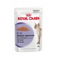 ROYAL CANIN CAT DIGESTIVE CARE UMIDO